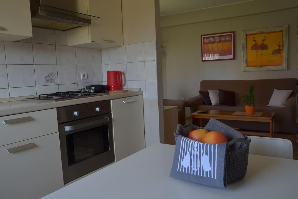 Apartman Ana Pula - Calm, Free Parking, Close To Center Dış mekan fotoğraf